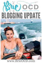 Brie OCD blogging update